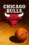 Chicago Bulls Prints