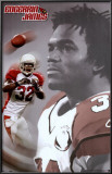 Arizona Cardinals- James Prints