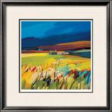 Slates and Slopes Limited Edition Framed Print by Pam Carter