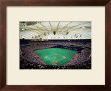 Metrodome, Minneapolis Posters by Ira Rosen