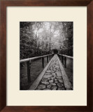 Stone Path Prints by Jeff Zaruba