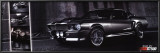 GT 500 Posters
