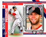 Dustin Pedroia 2010 Photo
