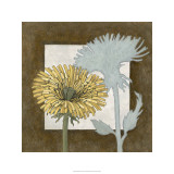 Sunshine Floral I Limited Edition by Megan Meagher