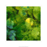 Nautilus in Green II Limitierte Auflage von Sharon Gordon