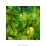 Sharon Gordon - Nautilus in Green I Limitovaná edice
