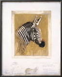Zebra Prints by Kim Donaldson