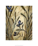 Lavender Love Limitierte Auflage von Christina Long