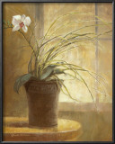 Orchid Simplicity Poster by Yumiko Ichikawa