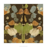 Rorschach Abstract II Edición limitada por Megan Meagher Rorschach Abstract II Edición limitada por Megan Meagher