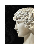 Adonis Limited Edition by Ethan Harper