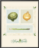 Antique Vegetables Posters by Alex Bloch