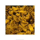Nautilus in Gold I Limited Edition by Sharon Gordon