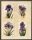 Antique Lavender I Poster by Richard Henson