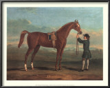 Racehorse Shakespeare Art by R. Roper
