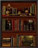 Librairie IV Posters by Pela 