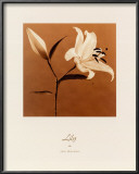 Lily Prints by Jan Gordon
