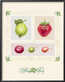 Antique Fruits Prints by Alex Bloch