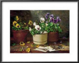 Pansies in Terra Cotta Arte por Del Gish Pansies in Terra Cotta Arte por Del Gish