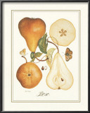 Bosc Posters by Nan Wiggins