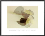 Sauvignon Blanc Prints by Durwood Zedd