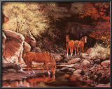 Autumn Blaze Prints by Rusinko 