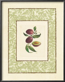 Plums Posters by Linda Casey
