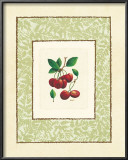 Cherries Prints by Linda Casey