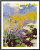 Les Agapanthes Posters by Claude Monet