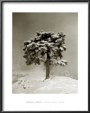 Peira Cava, 1940 Print by Marcel Bovis