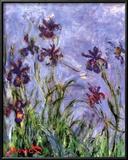 Irises Prints by Claude Monet