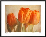 Bellezza I Poster by Amy Melious