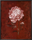 Asian Peony II Poster by Su Yue Lee