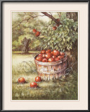 Apple Orchard Print by Peggy Thatch Sibley