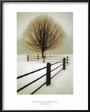 Solitude Prints by David Winston