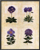Antique Lavender II Prints by Richard Henson