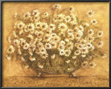 So Many Daisies Prints by Kate McRostie