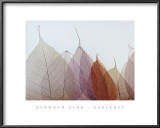 Cabernet Poster by Durwood Zedd