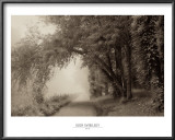 Fog III Prints by Igor Svibilsky