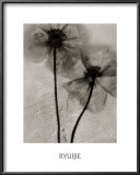 Facing the Sun Prints by Ryuijie 
