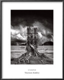 Stumped Prints by Thomas Barbey