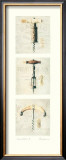 Sommelier II Print by Amy Melious