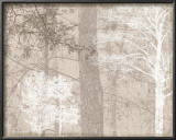 Luminous I Prints by Pela & Silverman 