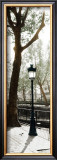 Lamppost Posters by Joane Mcdermott