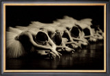 Swan Lake Print by Patrick Baldwin