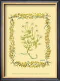 Chamomile Prints by Wendy Russell