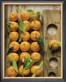Clementine Posters by Federic Vasseur