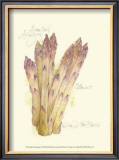 Argenteuil Asparagus Prints by Elissa Della-piana