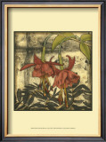 Mini Fuchsia and Silhouette I Print by Jennifer Goldberger