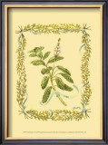 Sage Art by Wendy Russell